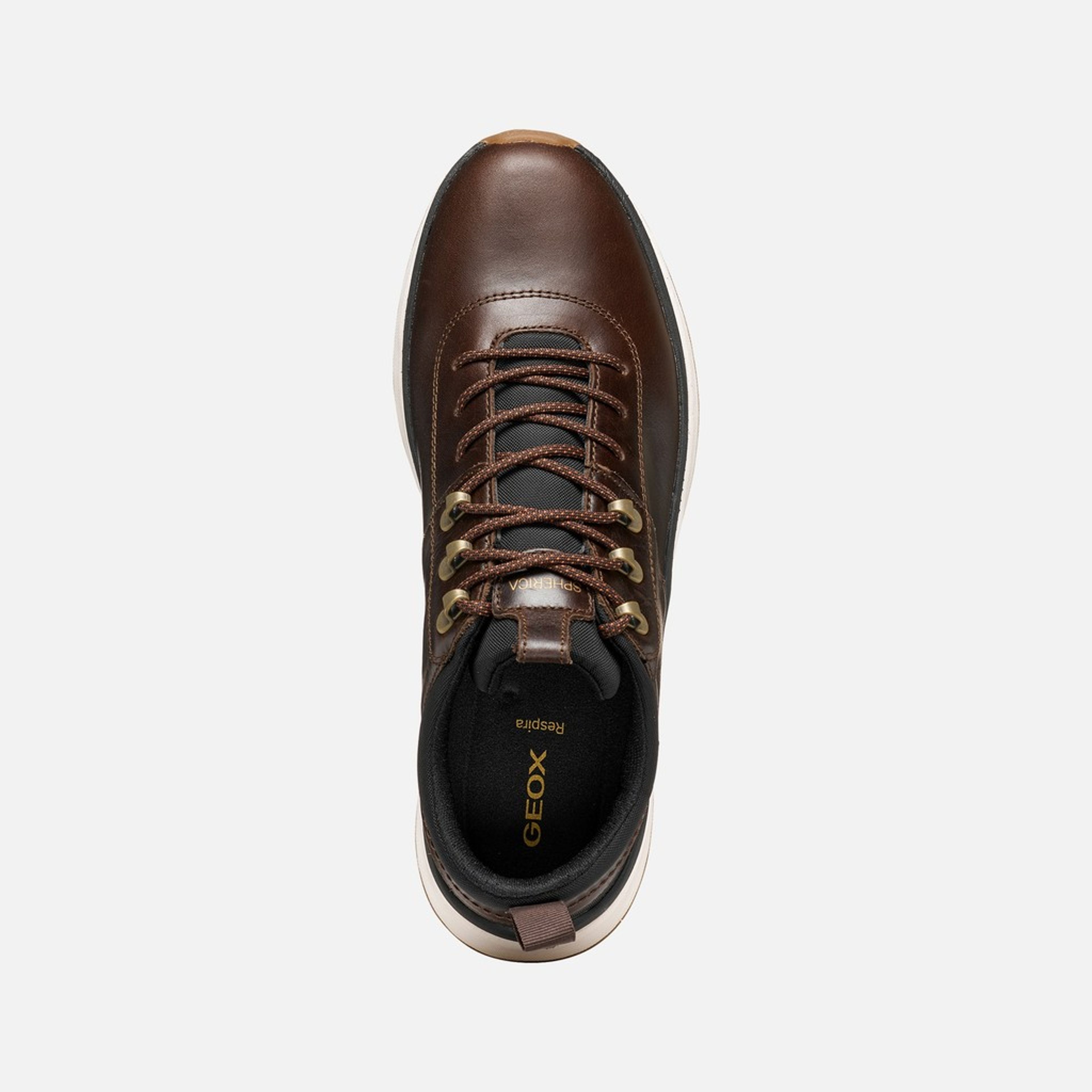 Ciemnobrązowe męskie sneakersy Geox Spherica Actif X2 - 006